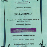 Mihaela Drilea