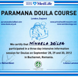 Mihaela Drilea