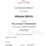 Mihaela Drilea